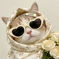 Neko.kawaiinail