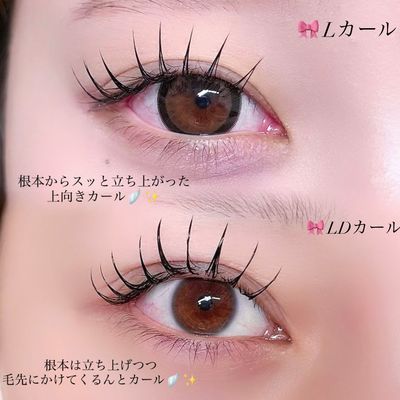 【影にならない🪽‪✨️】フラットラッシュ L/LDカール◇90分付け放題🎀