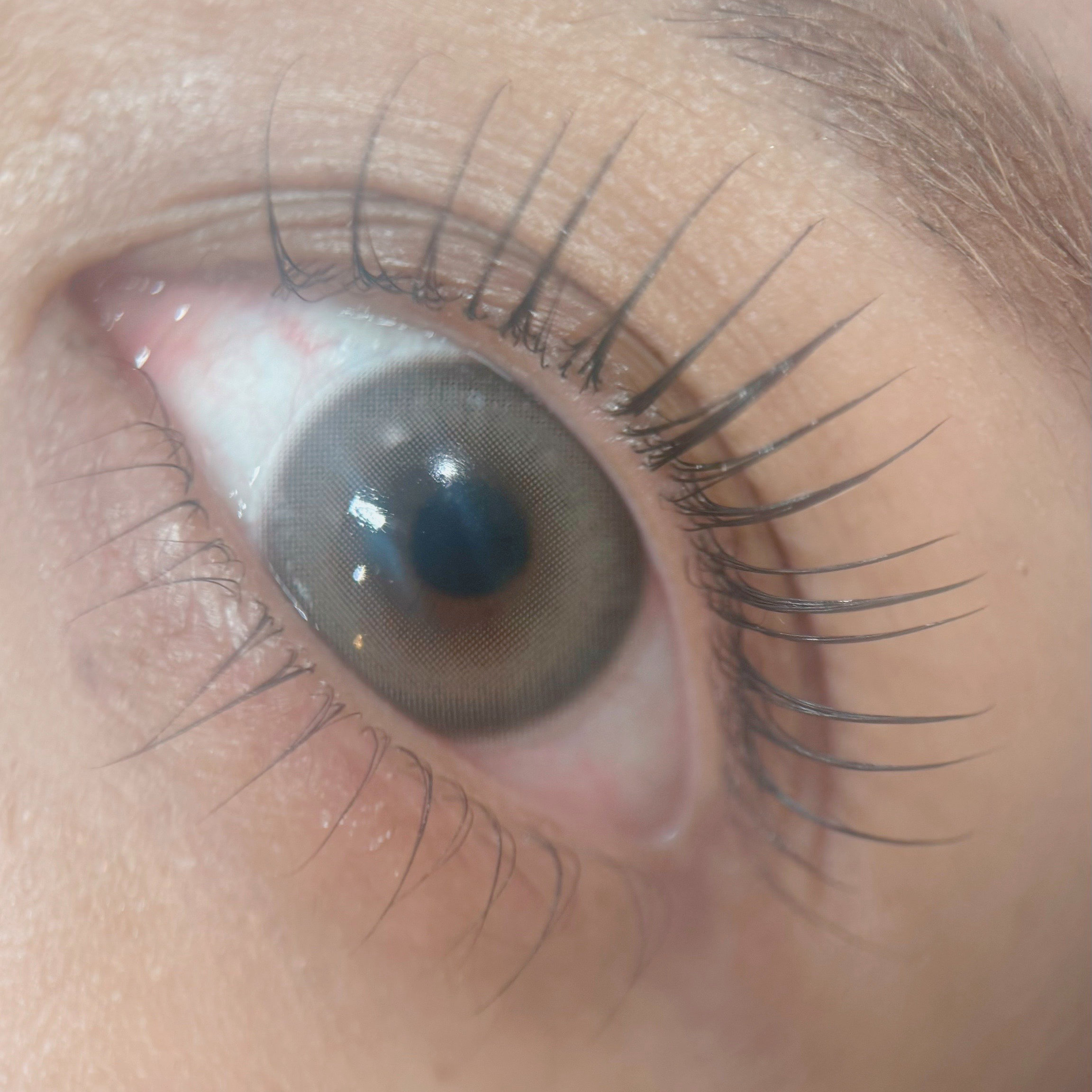 natari_.lash