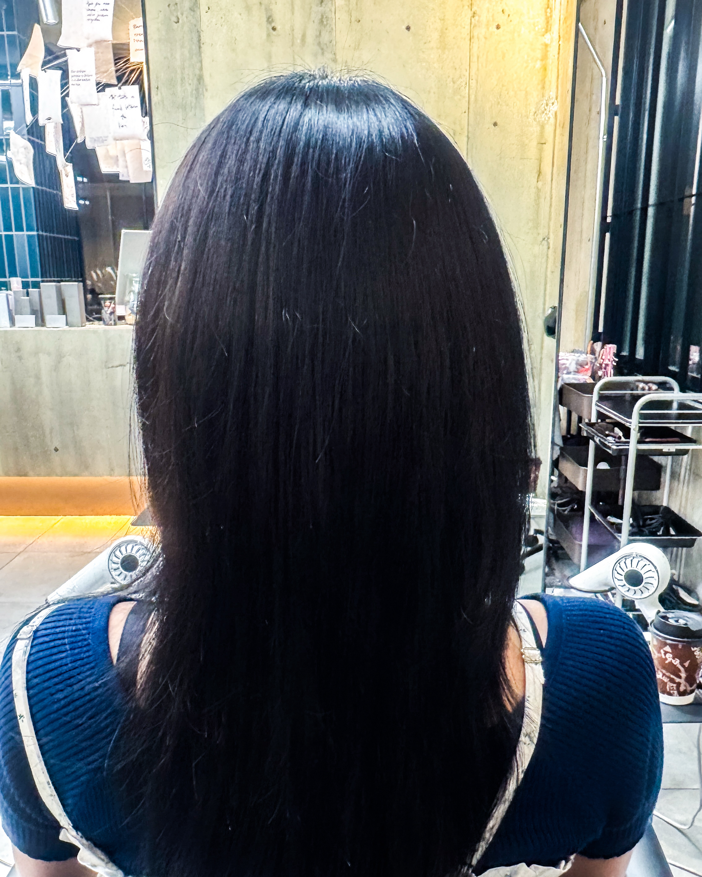 kamechan_b