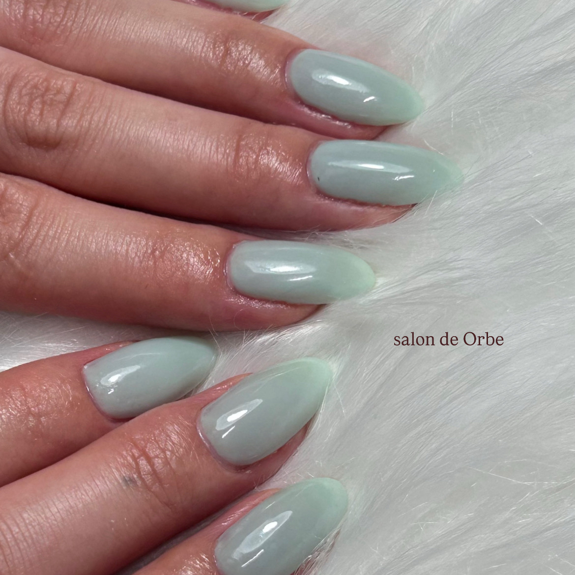 orbe6882