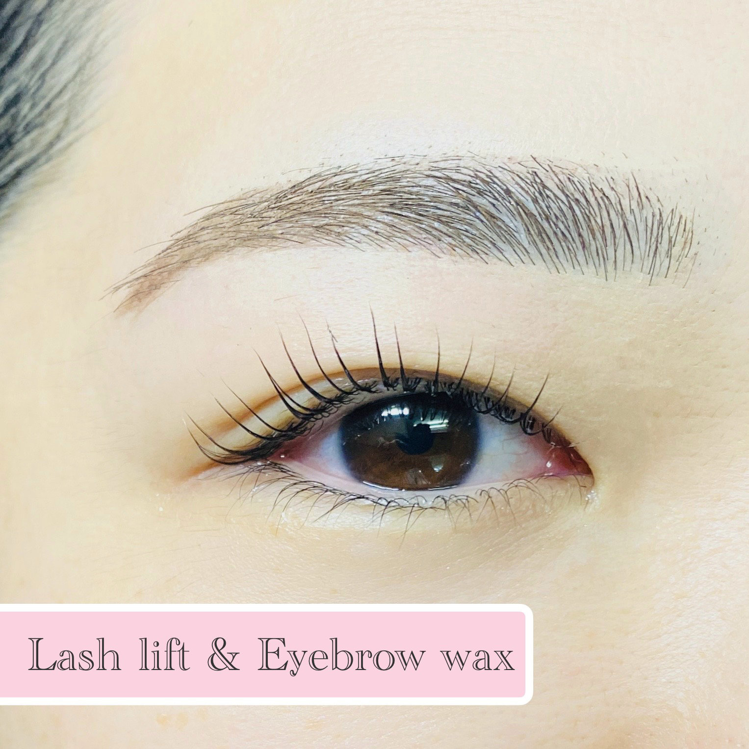 RISE_SOMEYA_eyebrow_eyelash