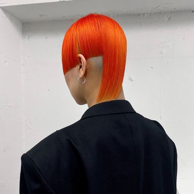 【cut+bleach+color+treatment】