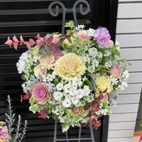 hana0319