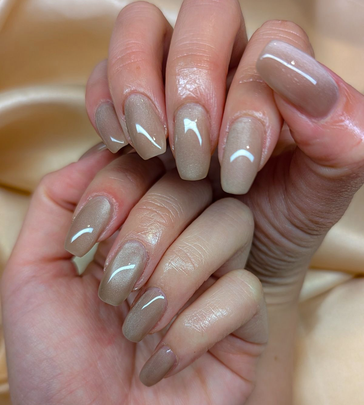 N2.nail_warabi
