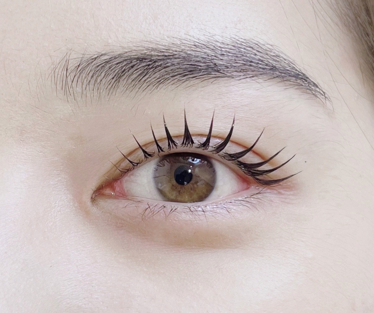 mona.eyelash