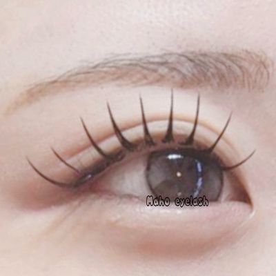 人気No.1✨韓国風束感まつ毛  新規オフ無料バインドロック100束 ¥7780