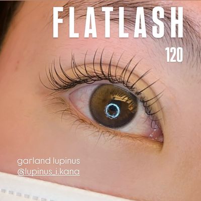 LEDフラットラッシュ120本