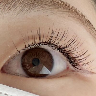 フラットラッシュ120本