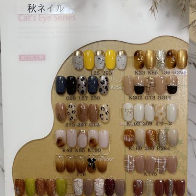 秋🍂ネイル　¥6980円