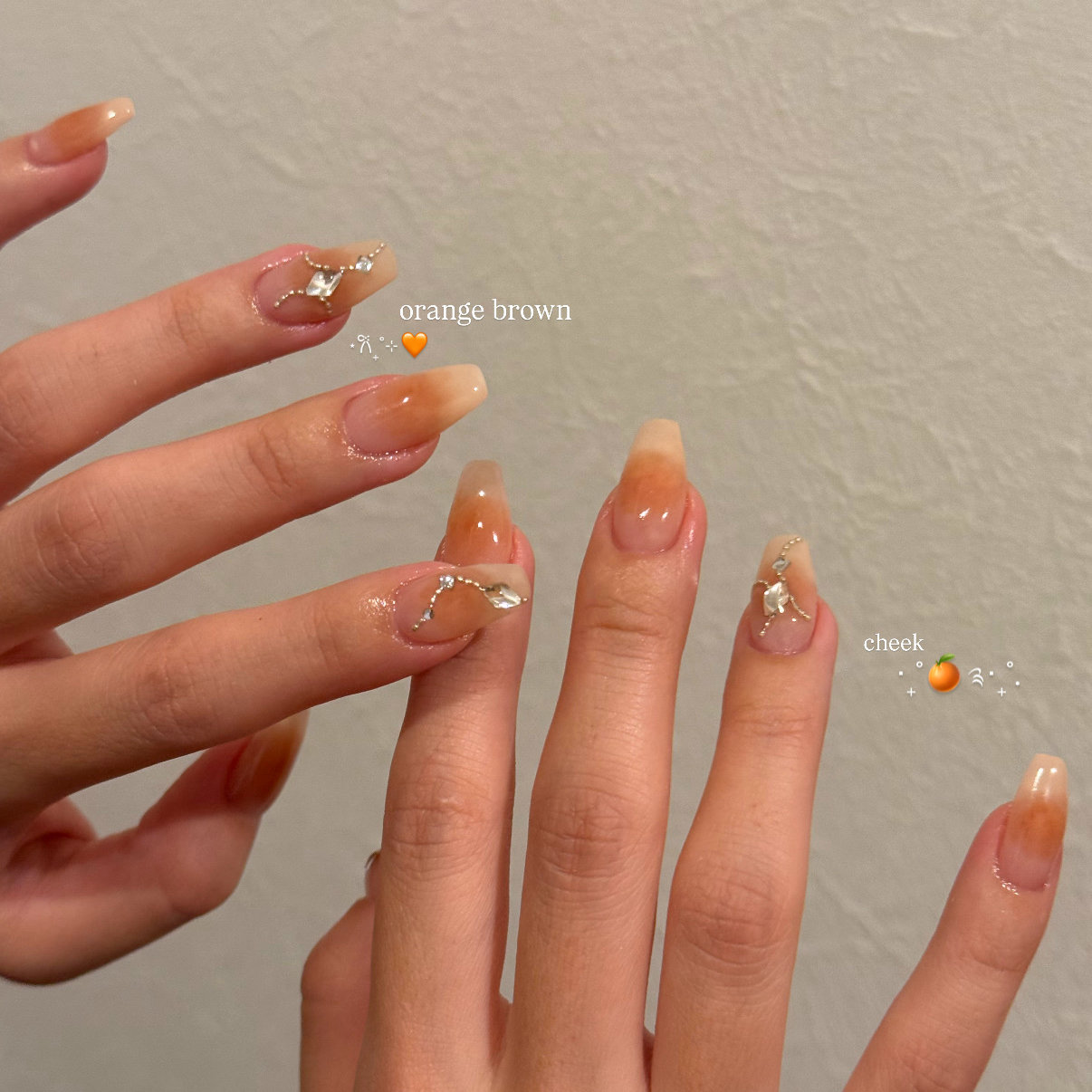 ssnail