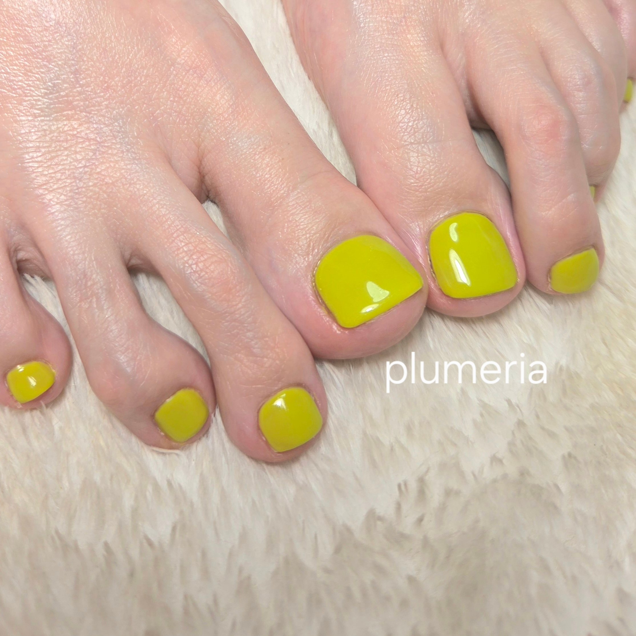 plumeria