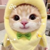 KawaiiNailSalon