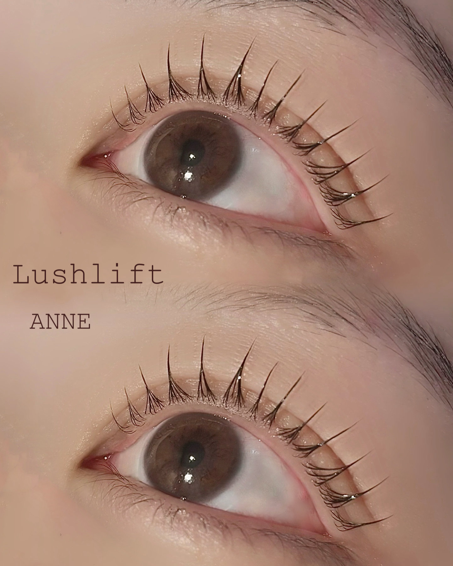 anne_chizu