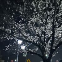 po_8
