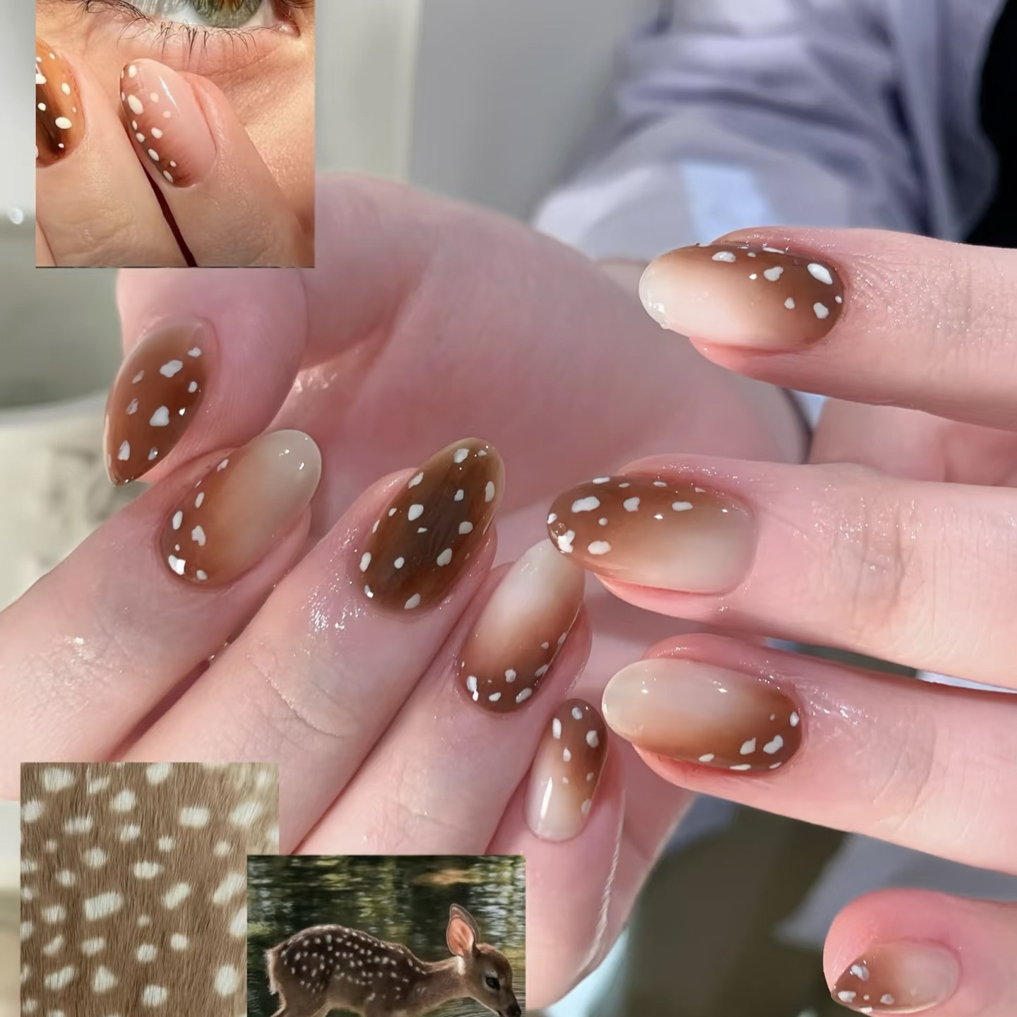 HBsalon_en