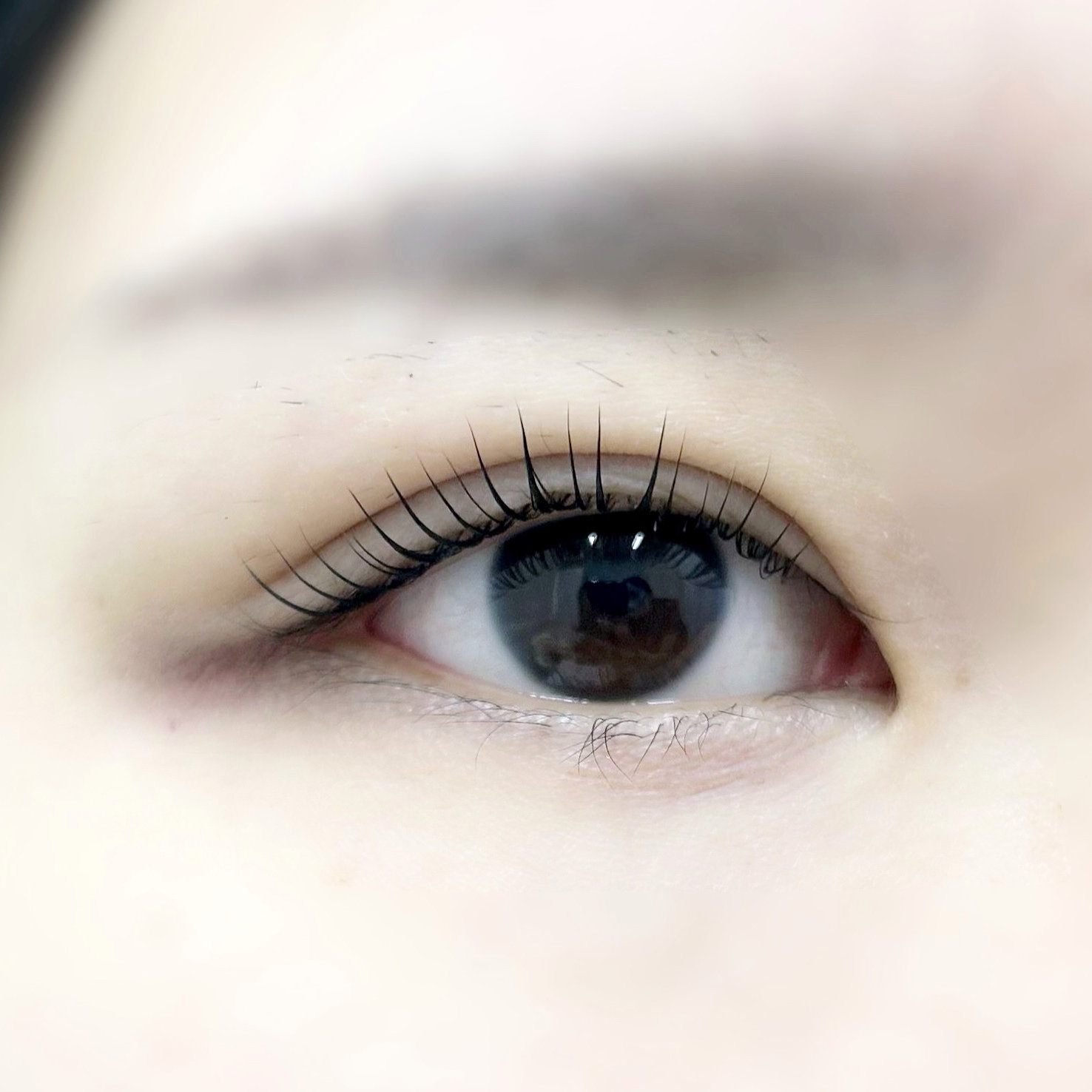 ciela_eyelash