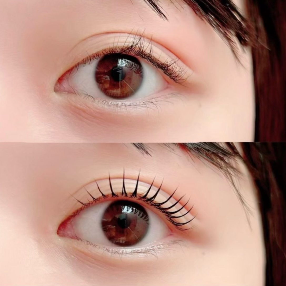 lupines_kotone