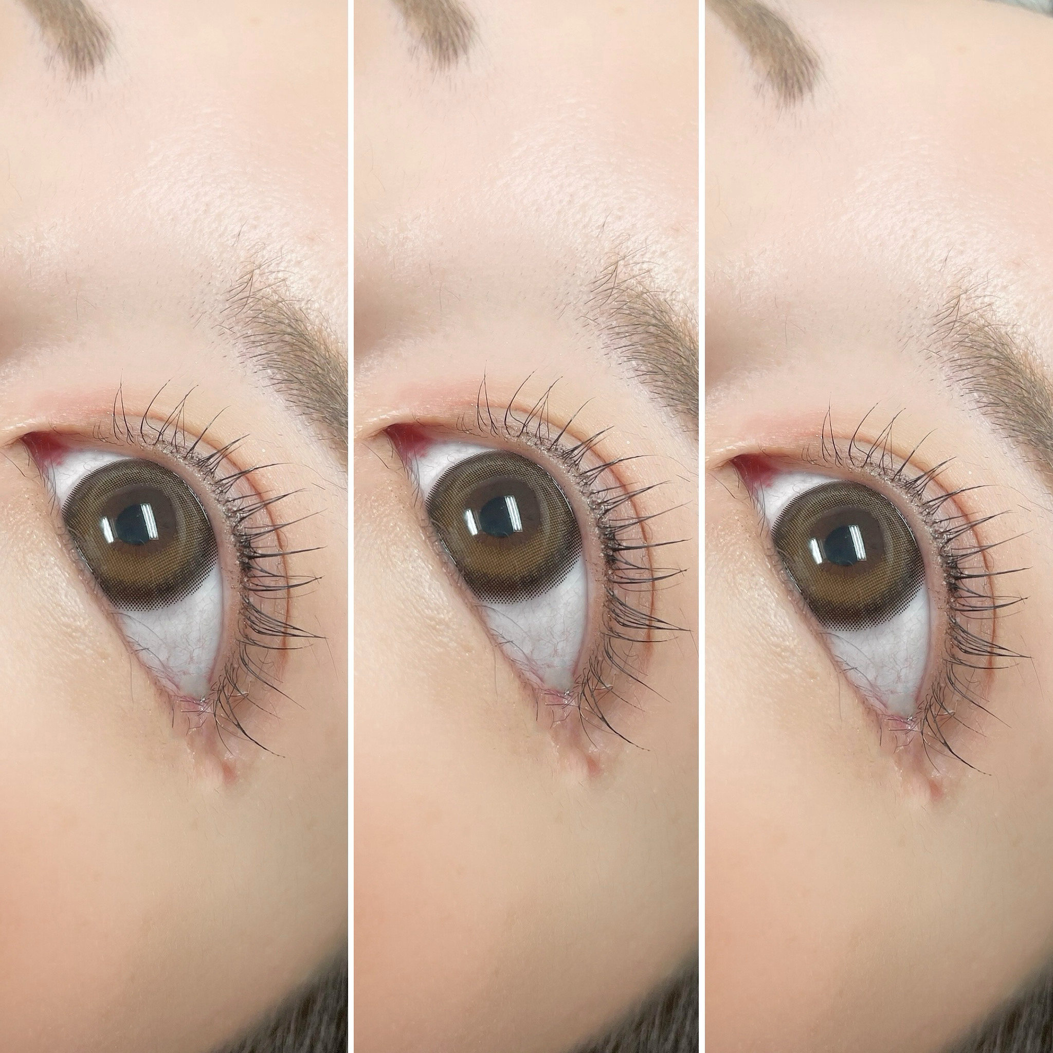 lily_eyebeauty