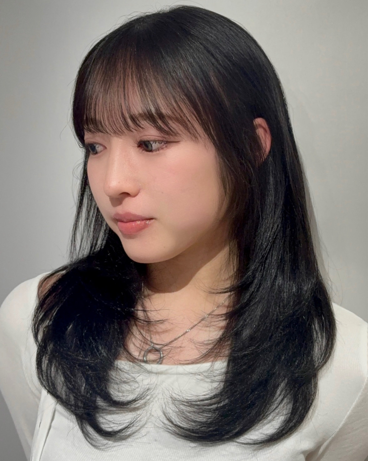 ___2v.cl