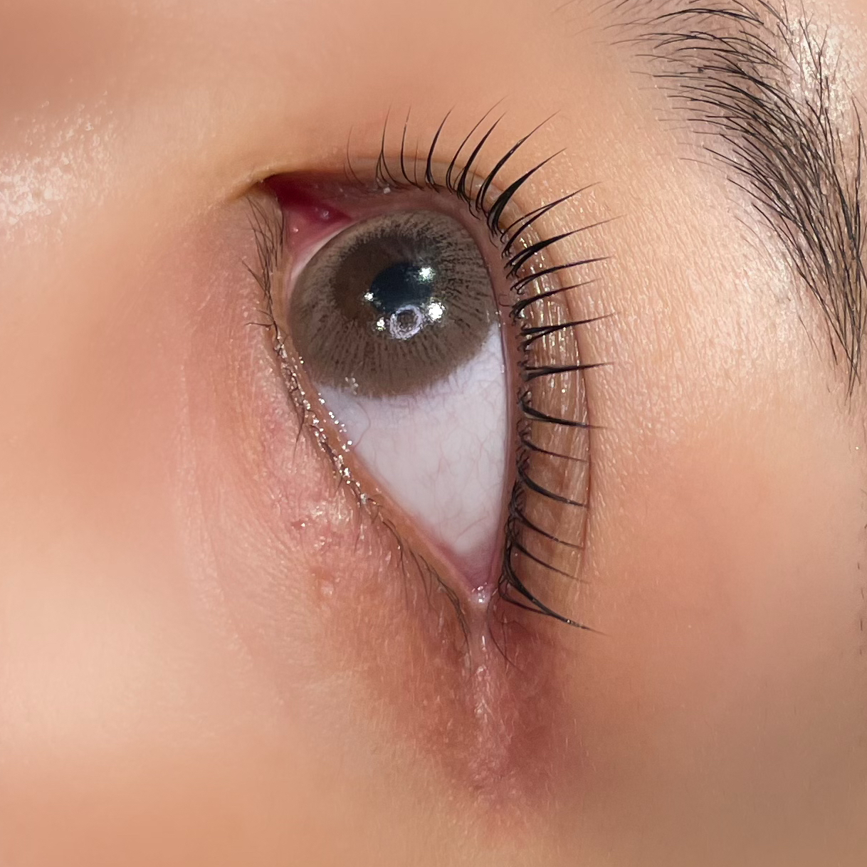 Voir.eyesalon