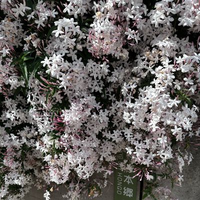 亀裂直し