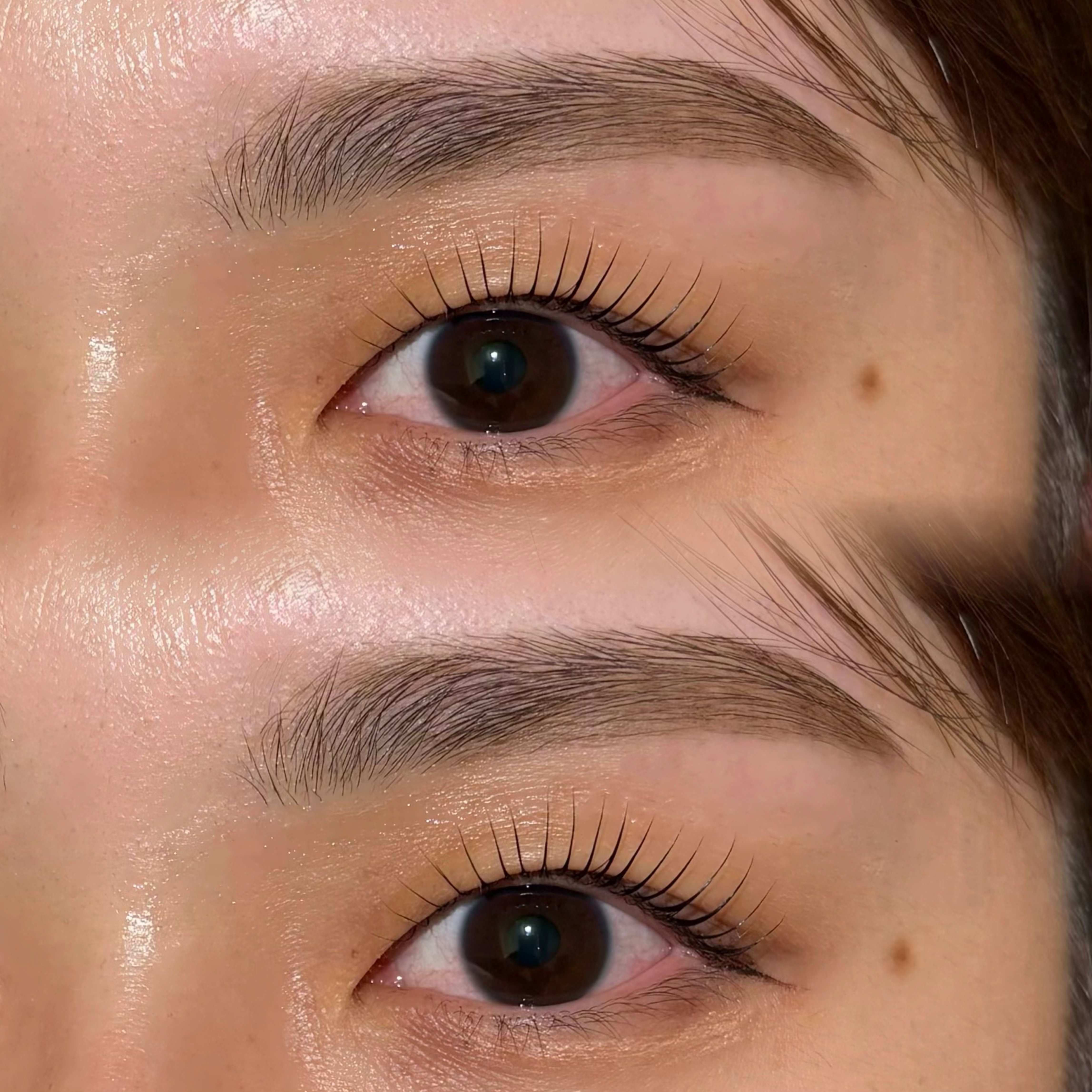 eyelash.suzuna