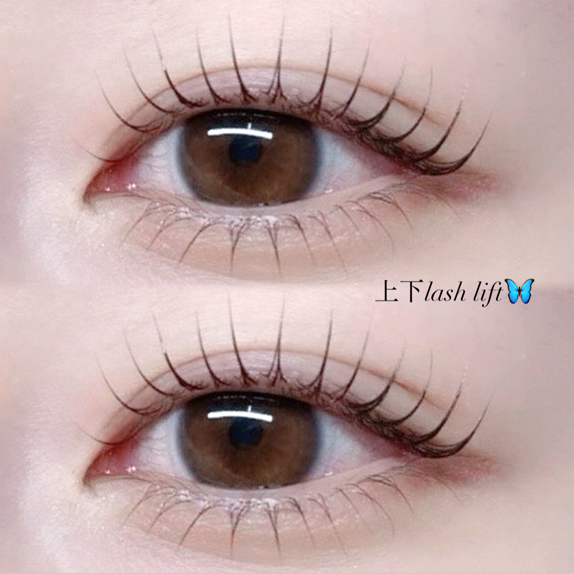 eyelist.YUME