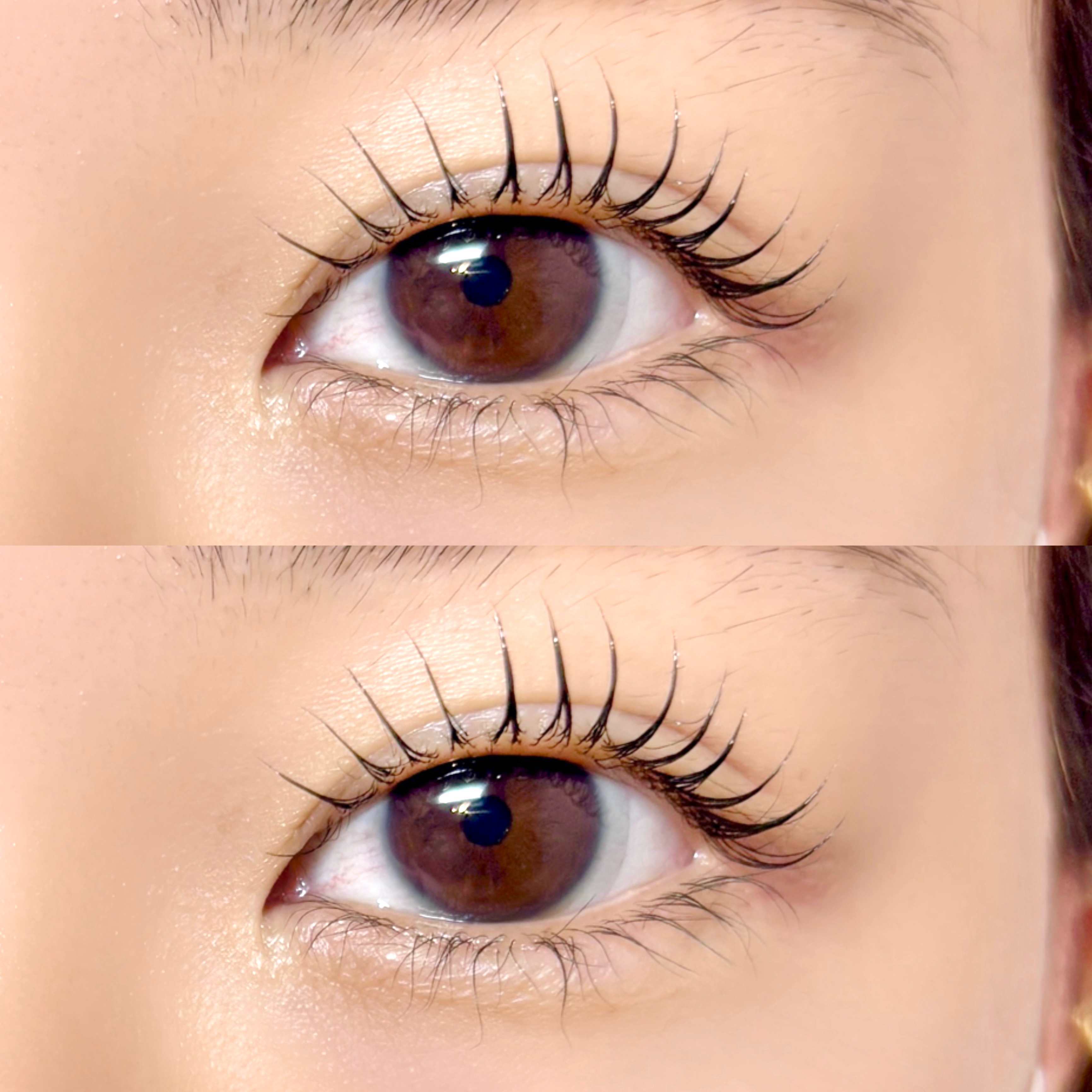 eye_konomi