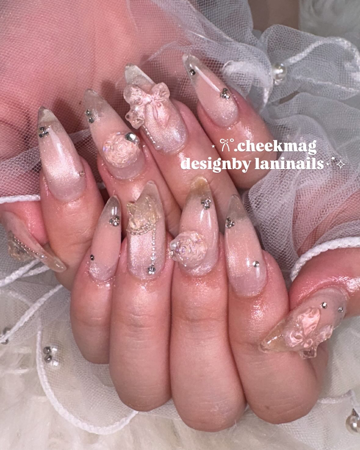 _laninails