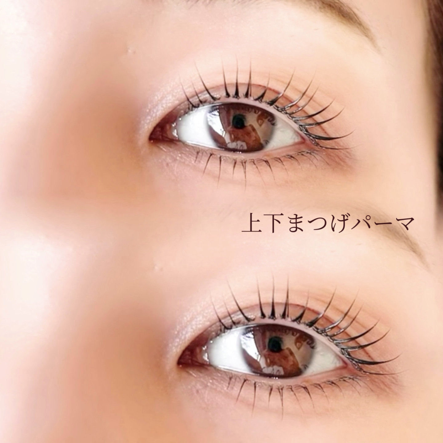 linoa.eyelash__