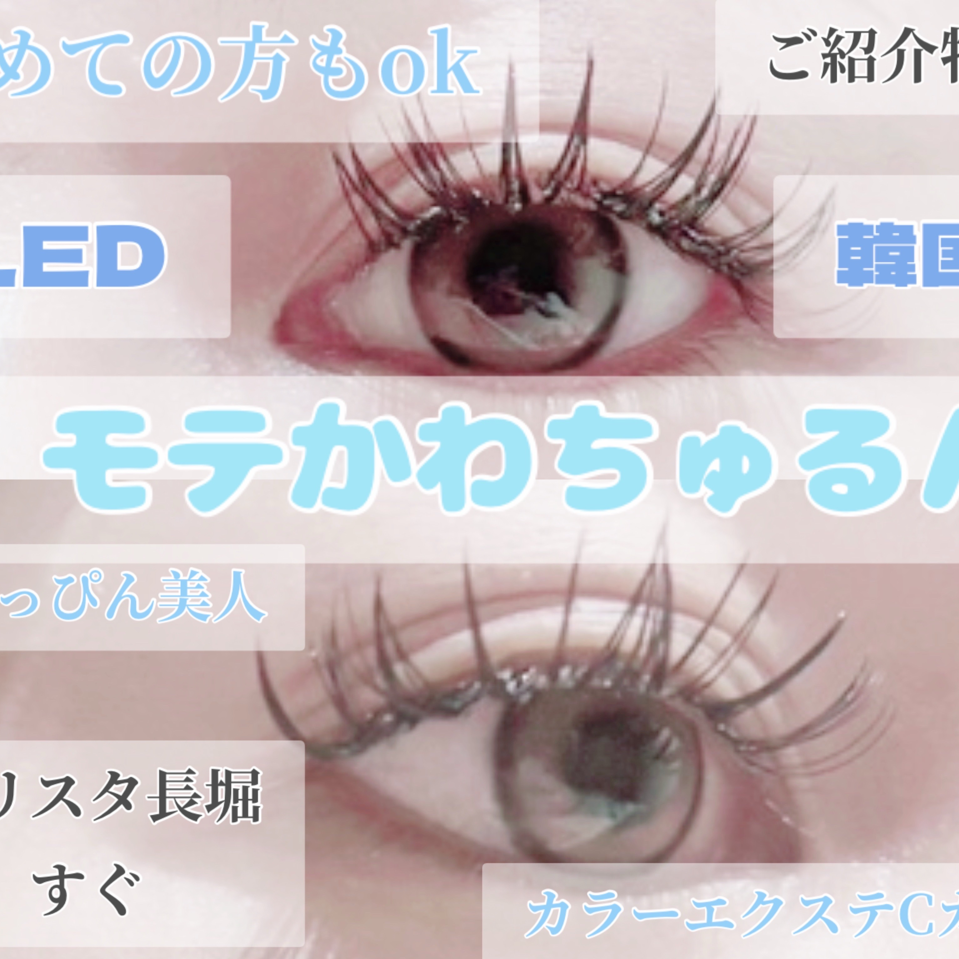 Flore_shinsaibashi