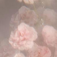 fuuka_neolivejuq