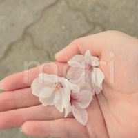 mari_2998g