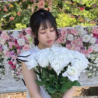 Saki__pom