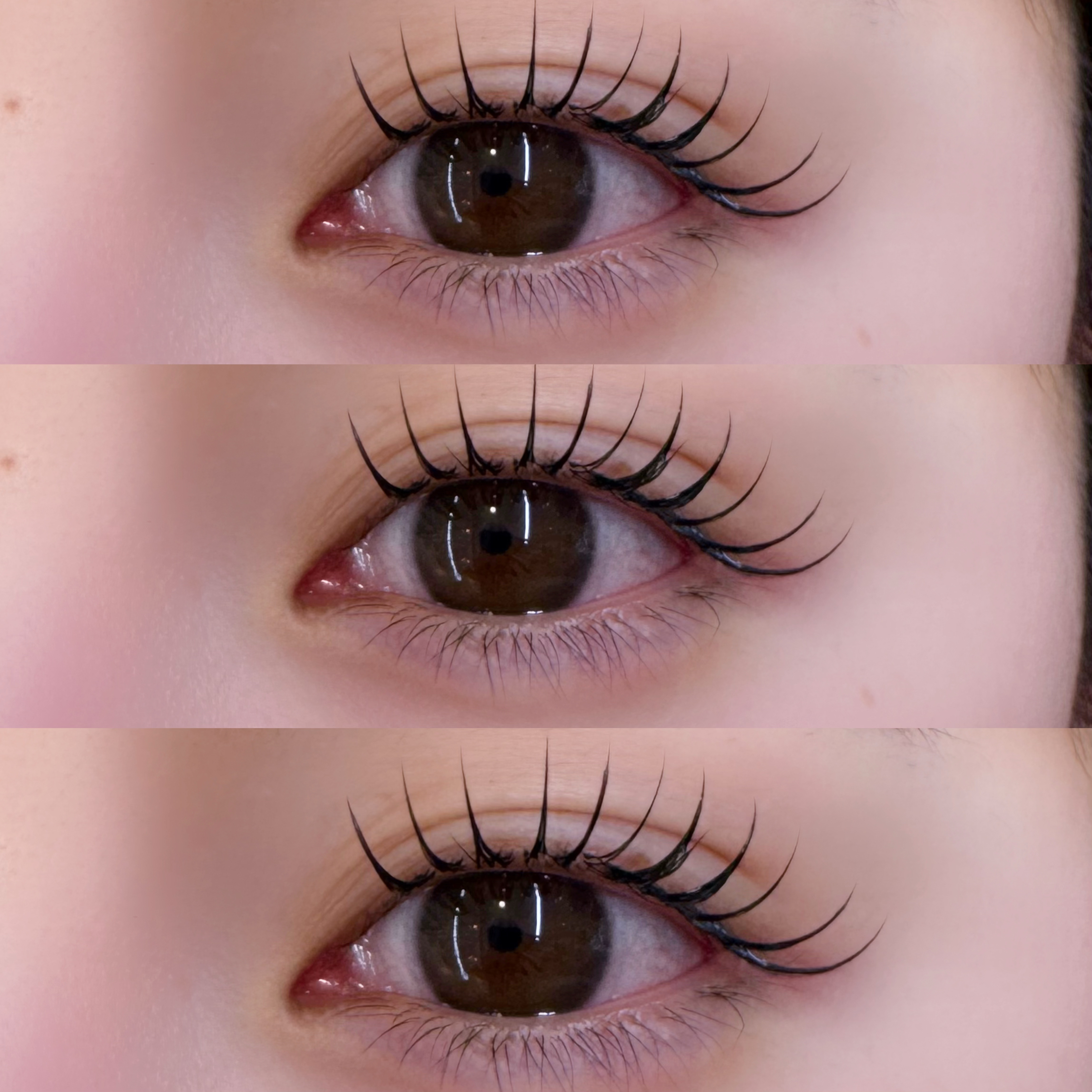 eye_ayame