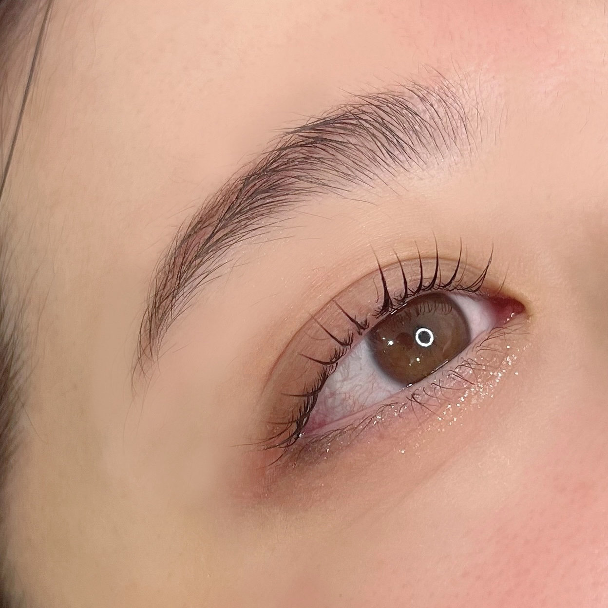 tto._eyebrow