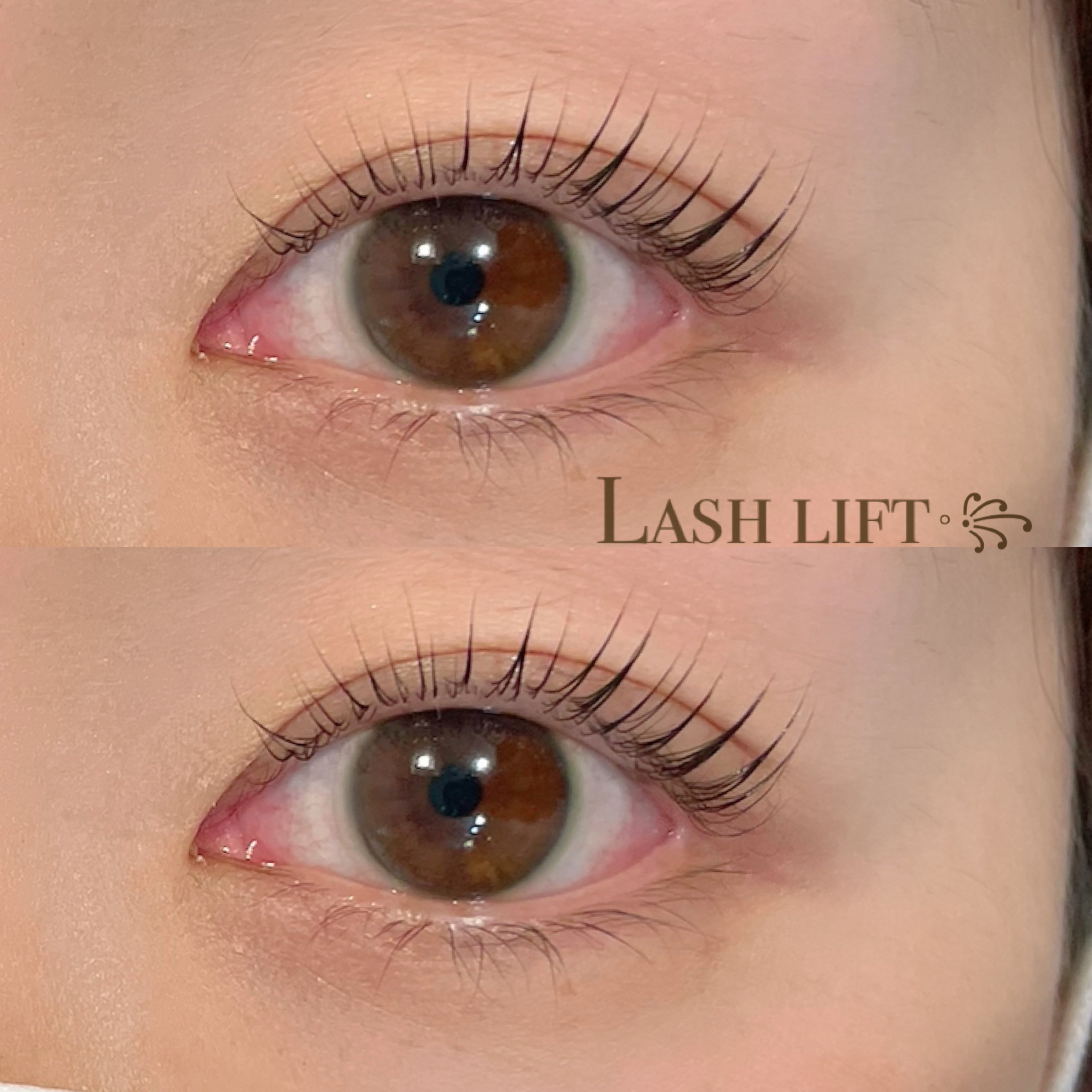 EyeDesigner.Mai