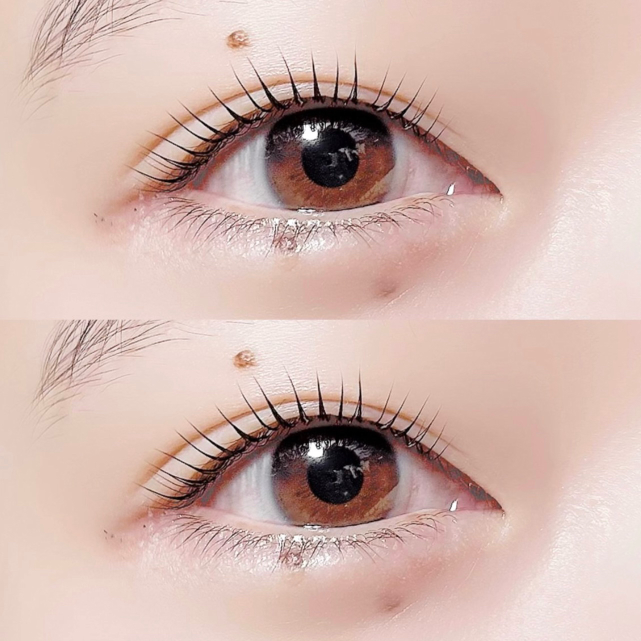 eye_rina
