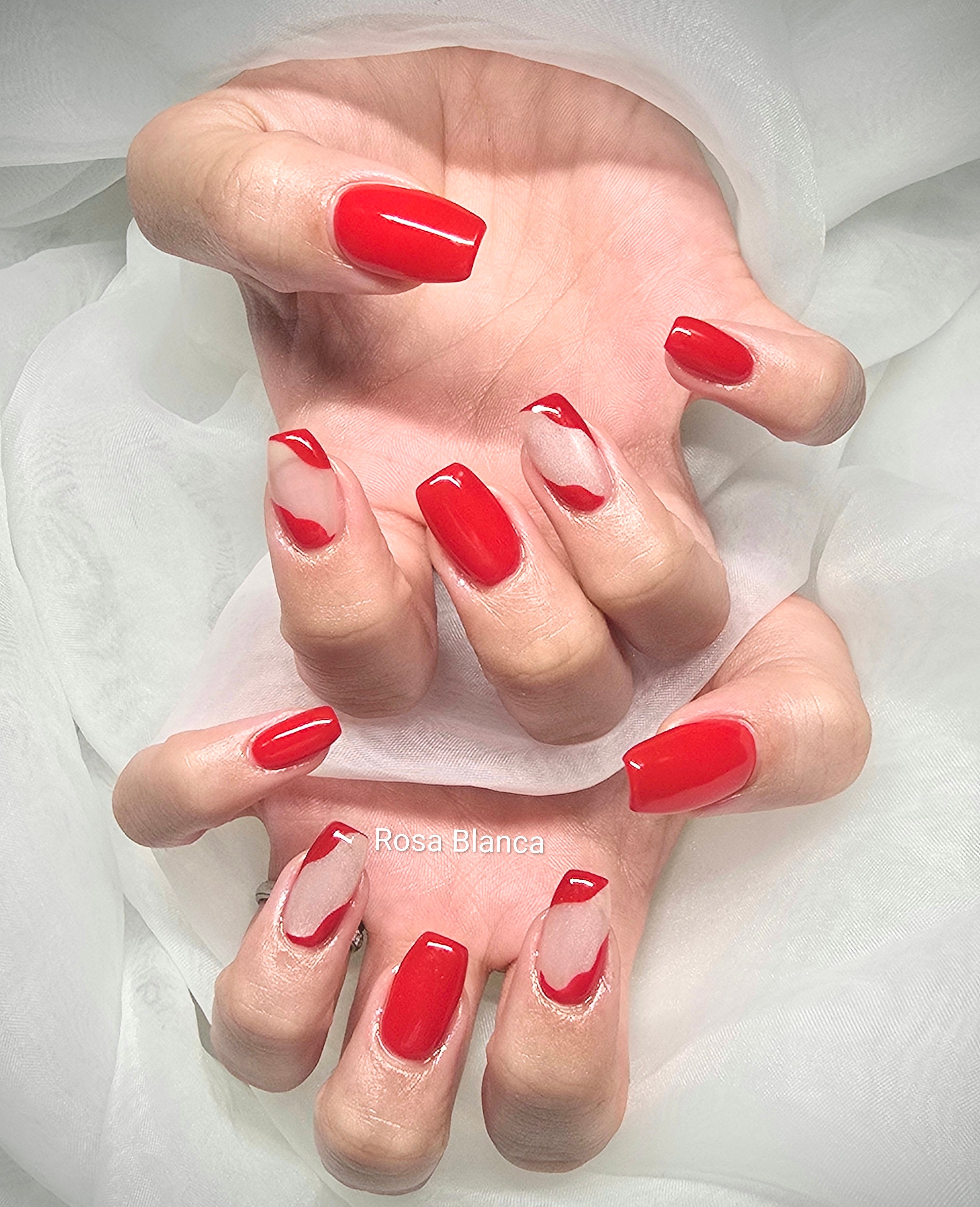 Rosa_Blanca