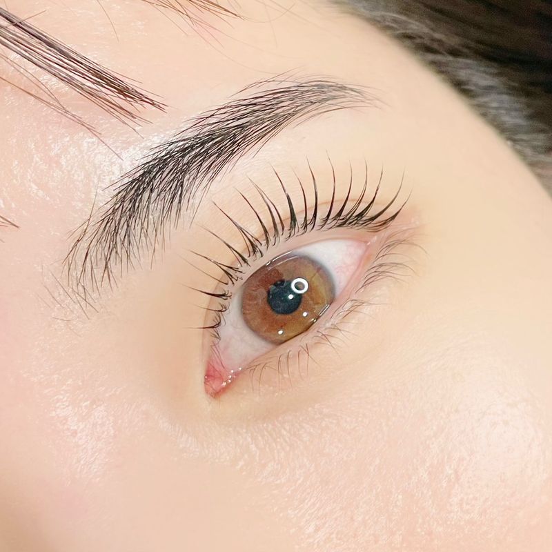 eyelash salon comfy 代官山