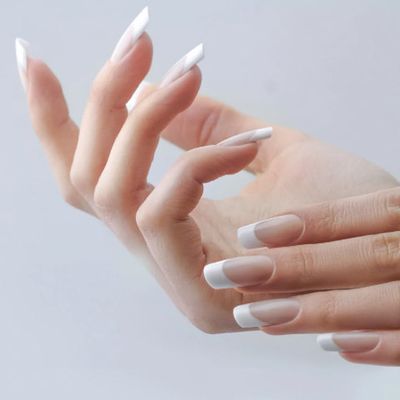 【長さ出し10本】－極－フレンチ