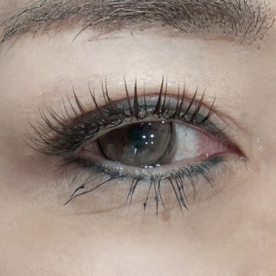ダブルラッシュ（10束20本）