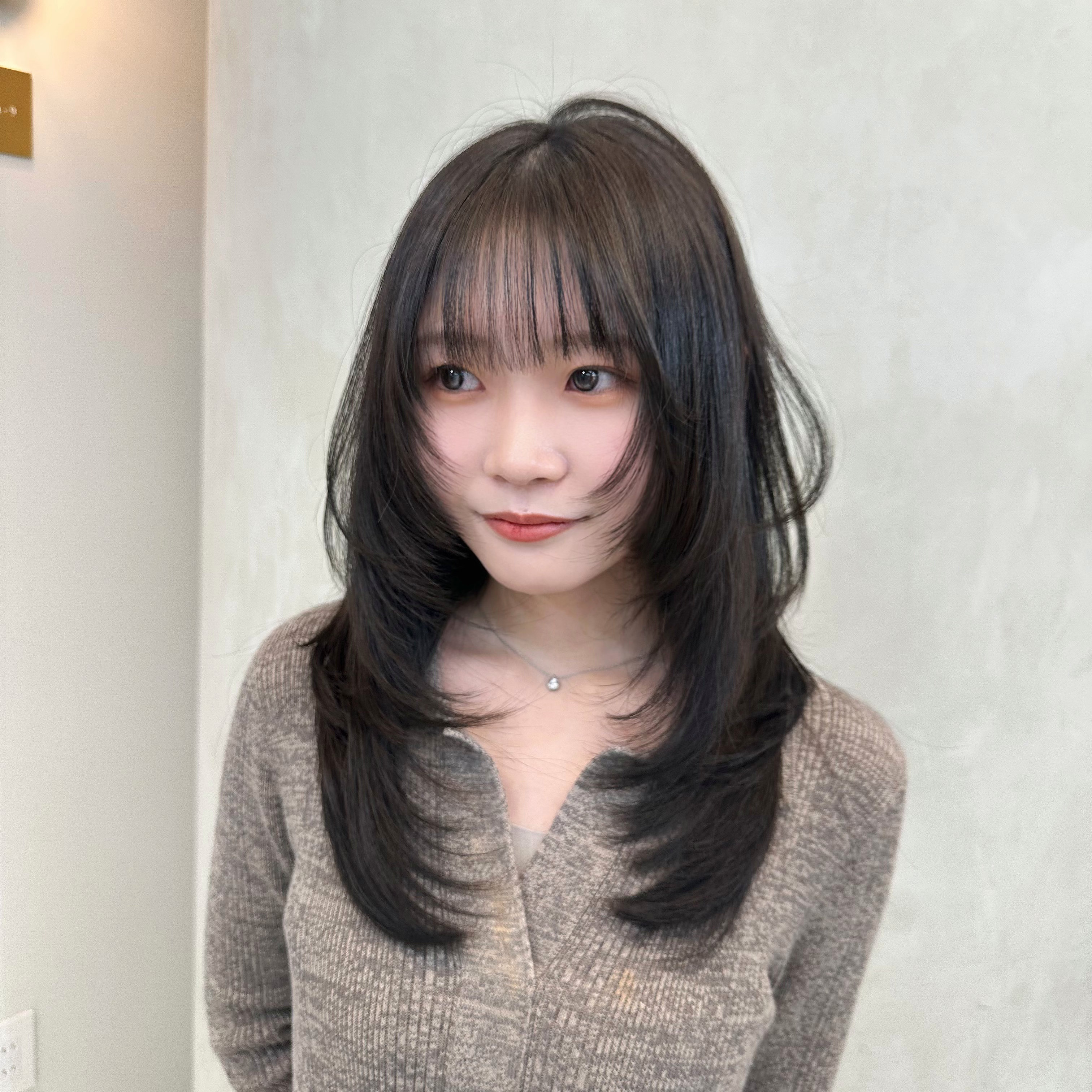 raimu_layer