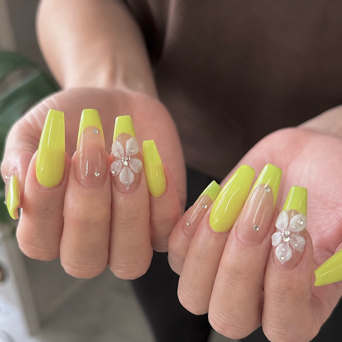 gypsophila_yuka