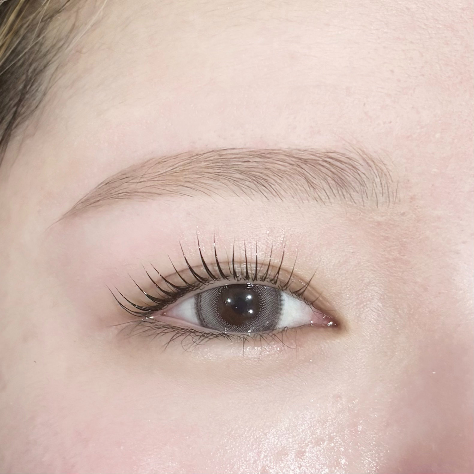 en_eyebrow_m