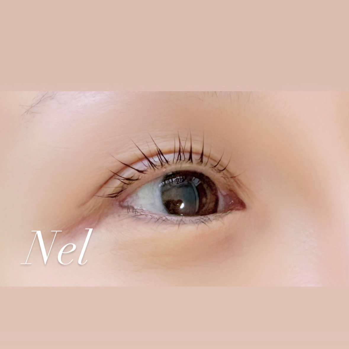Nel_miwa401