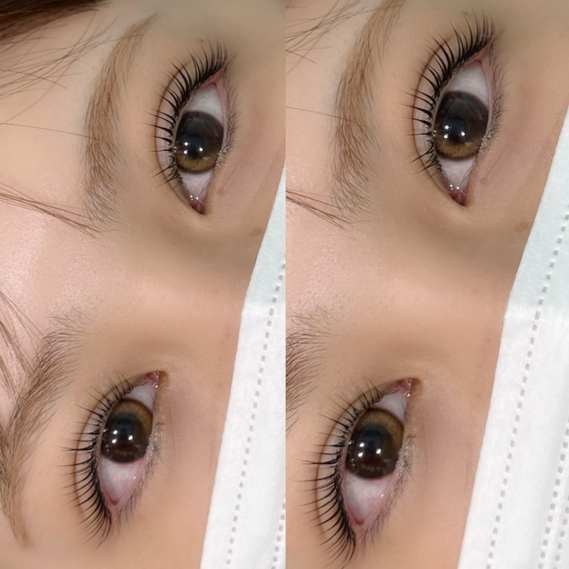 mintelash_Kazumi