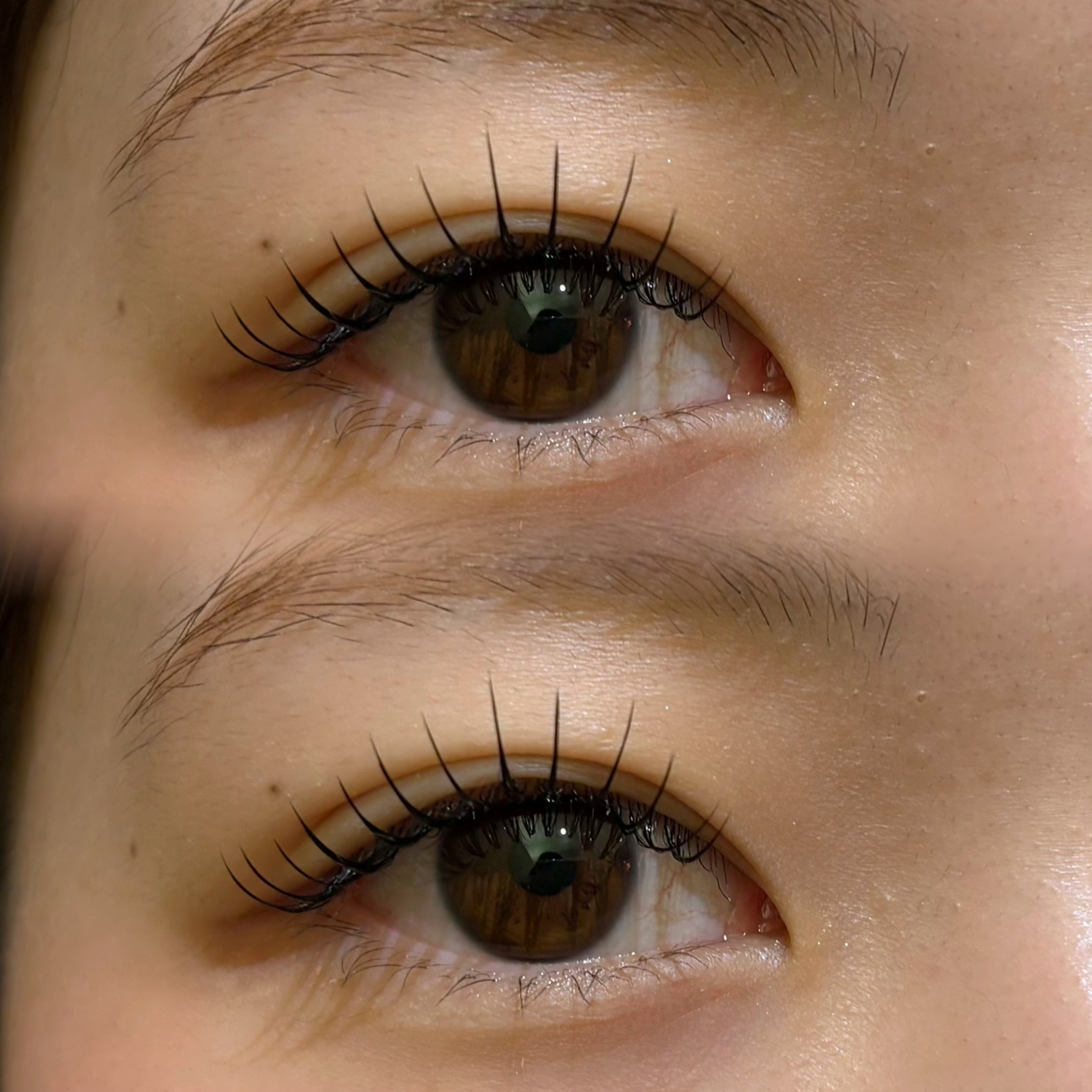 eyelash.suzuna