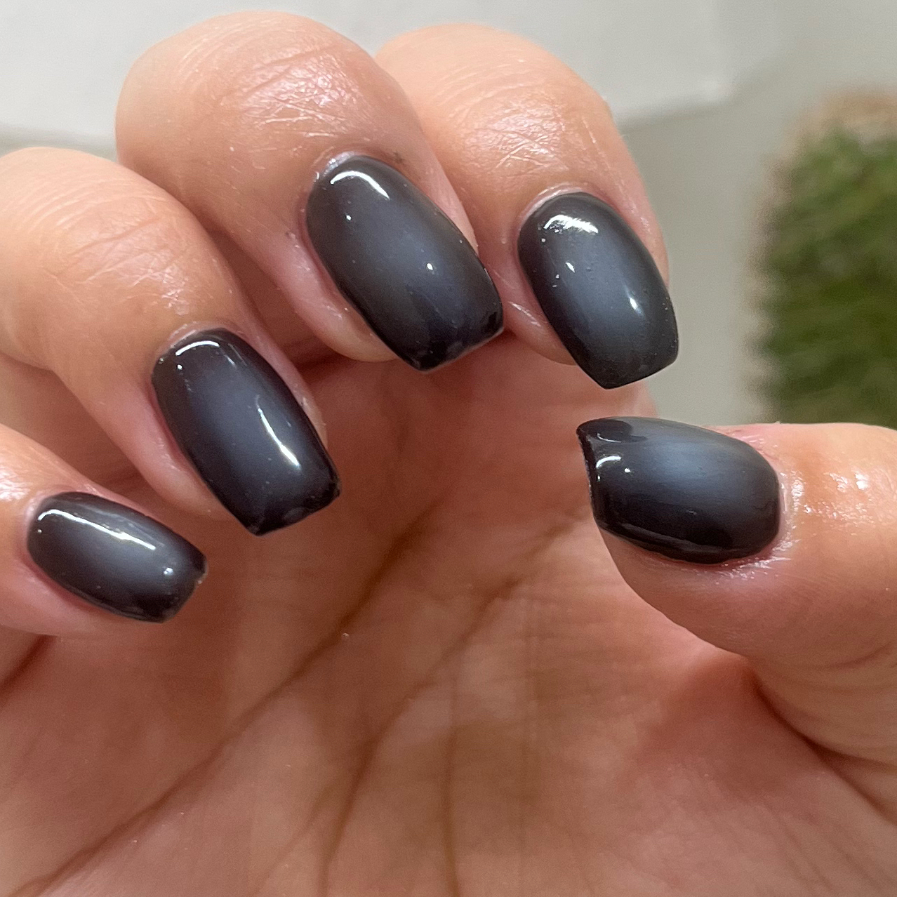 Nail.salon.Favi